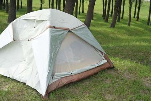 既省时又省力,一宿一键自动充气帐篷让野外露营更轻松